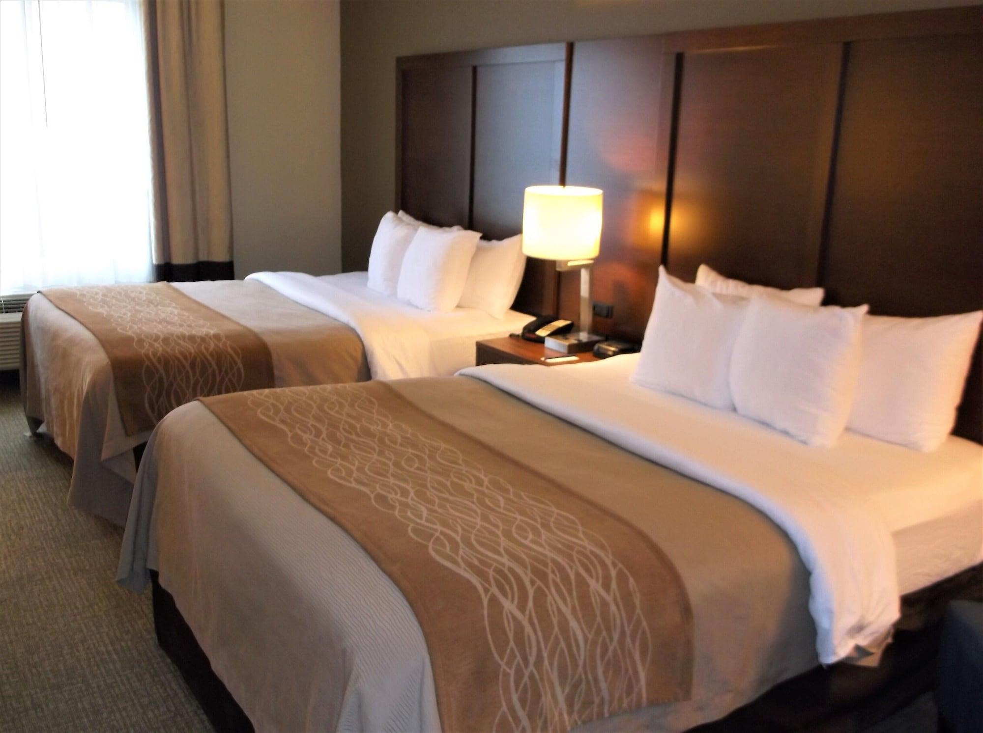 Comfort Inn & Suites Seguin Eksteriør billede